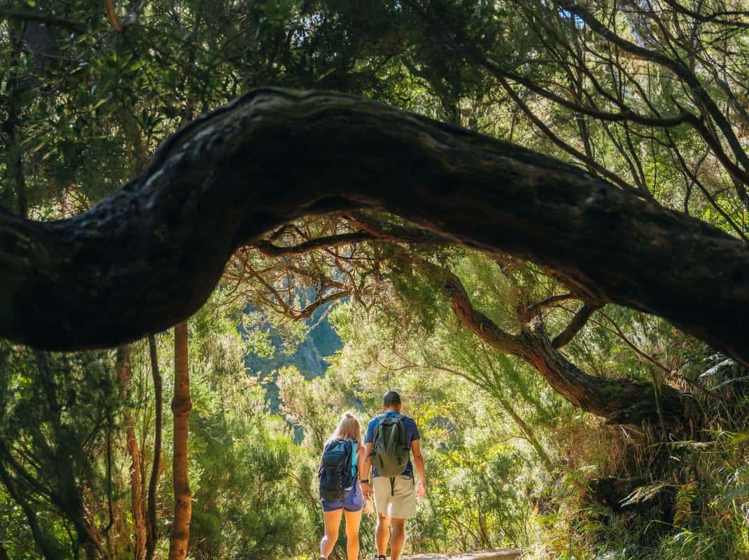 Risco waterval Madeira