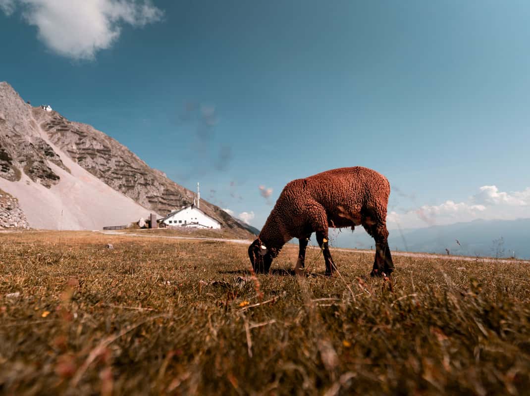 Alpen uitzicht vanaf Hafelekar