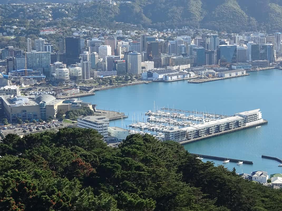 Middle-Earth Wellington