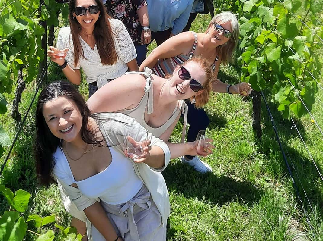 Martinborough wijngaard