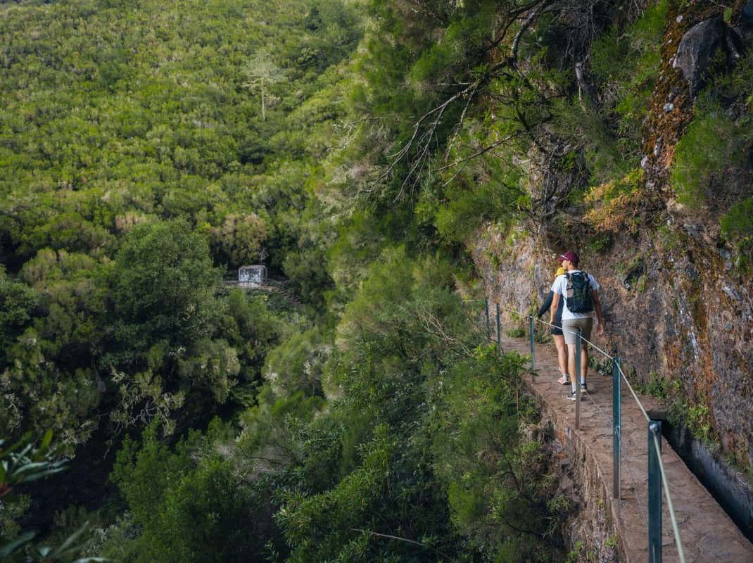 Laurissilva bos wandeling