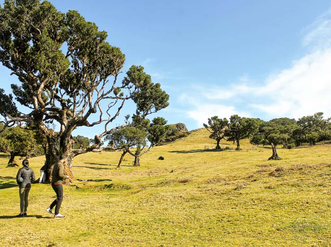Porto Moniz natuurlijke zwembaden