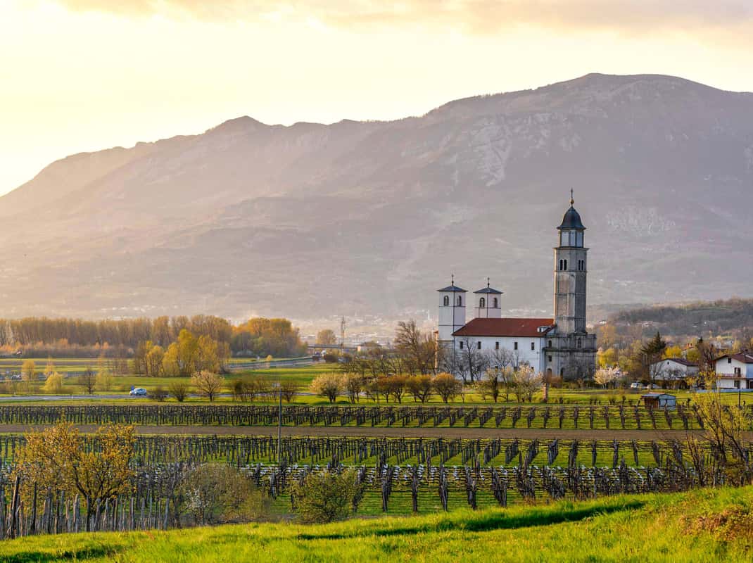 Vipava Vallei wijntour