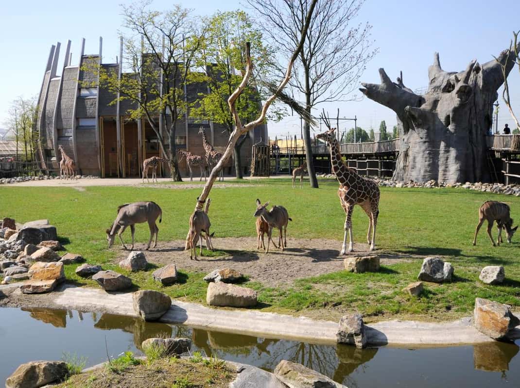 Diergaarde Blijdorp Rotterdam