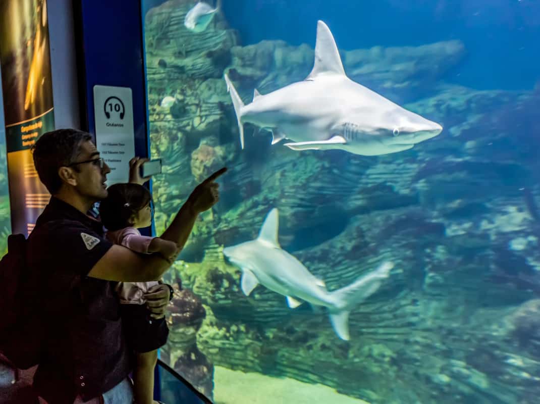 Oceanogràfic aquarium in Valencia