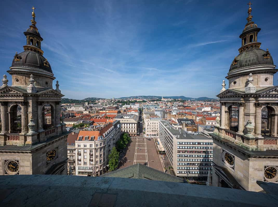 Basiliek afbeelding 3