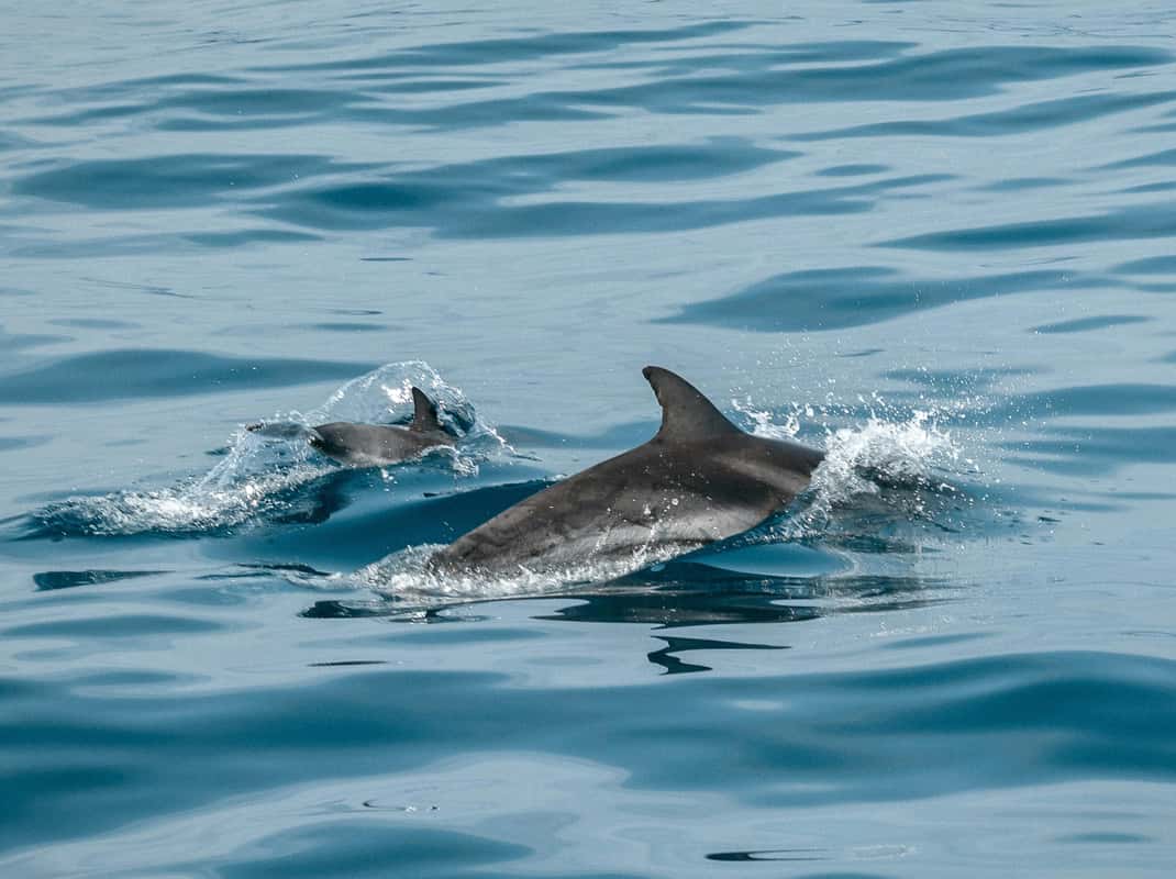 Zonsondergang cruise Adriatische Zee