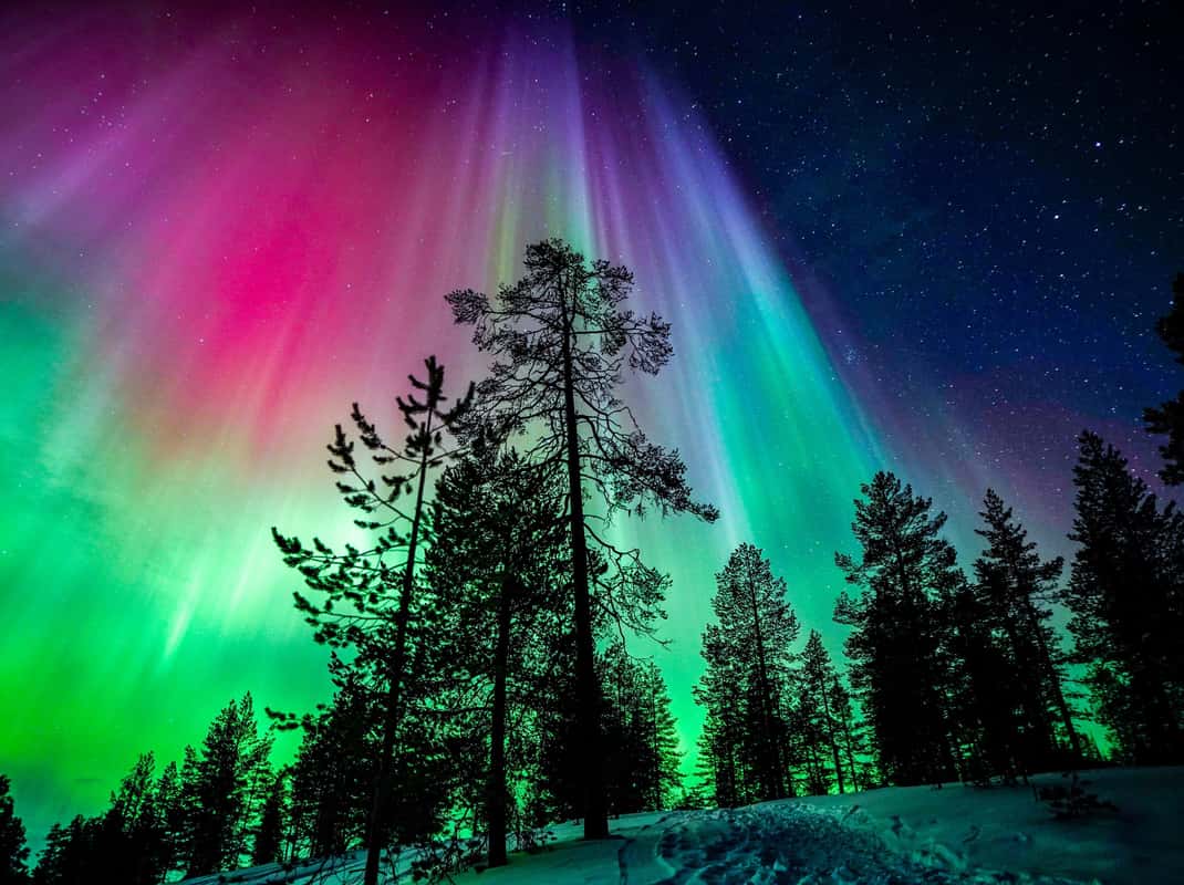 Nachtelijke wildernis Finland