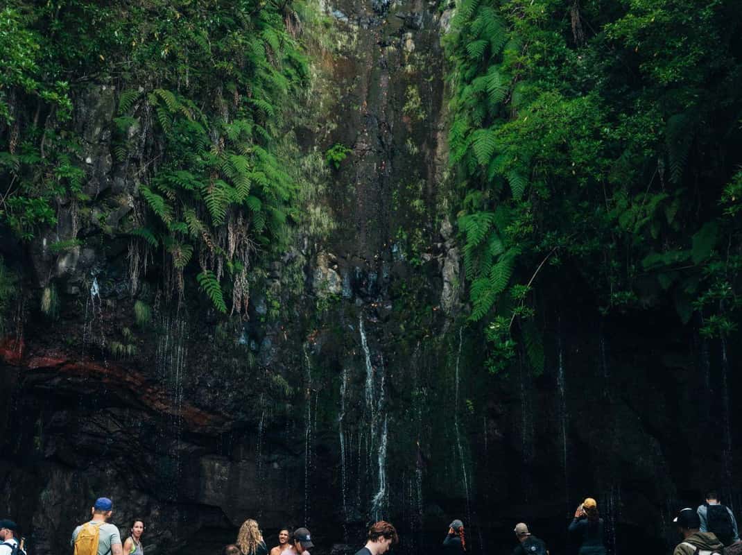 25 Fontes Madeira levada
