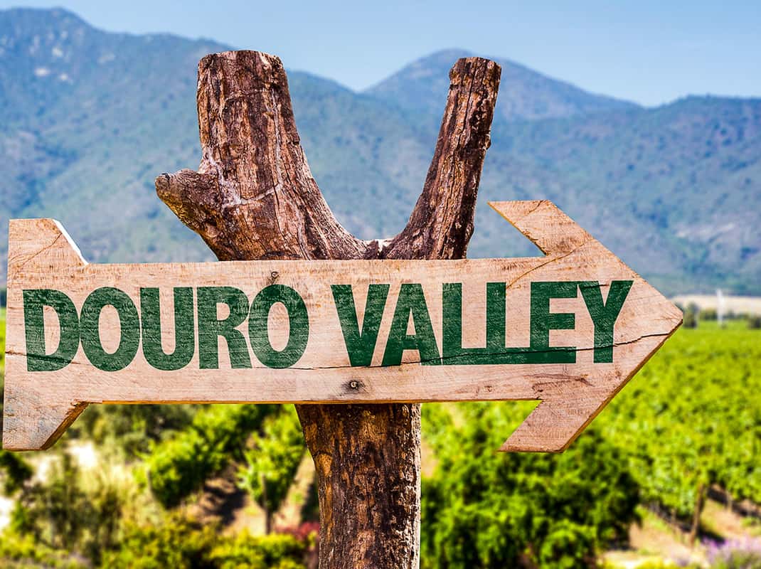Douro Vallei wijngaarden