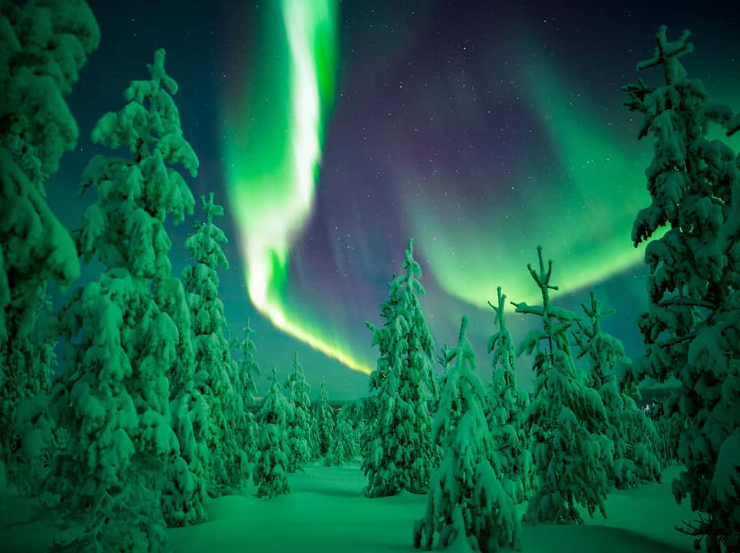 Noorderlicht wildernis tour Lapland