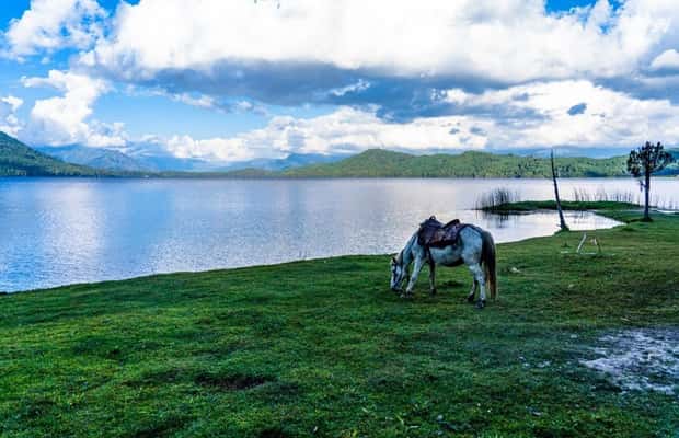 Kathmandu: Rara Lake 7-Day Tour with Flights and Meals | GetYourGuide