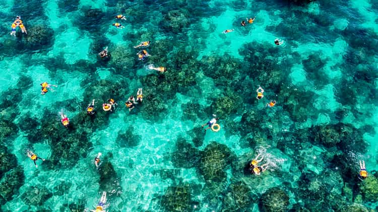 Bamboe Eiland snorkelen