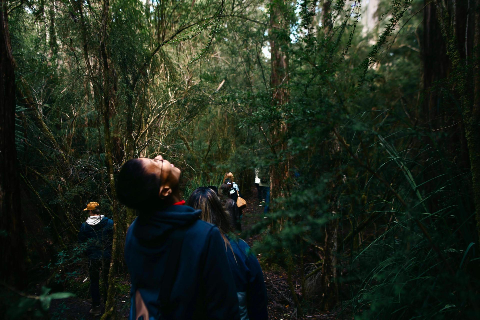 From Hobart: Full-Day Bruny Island Tour with Guide - Thumbnail 2