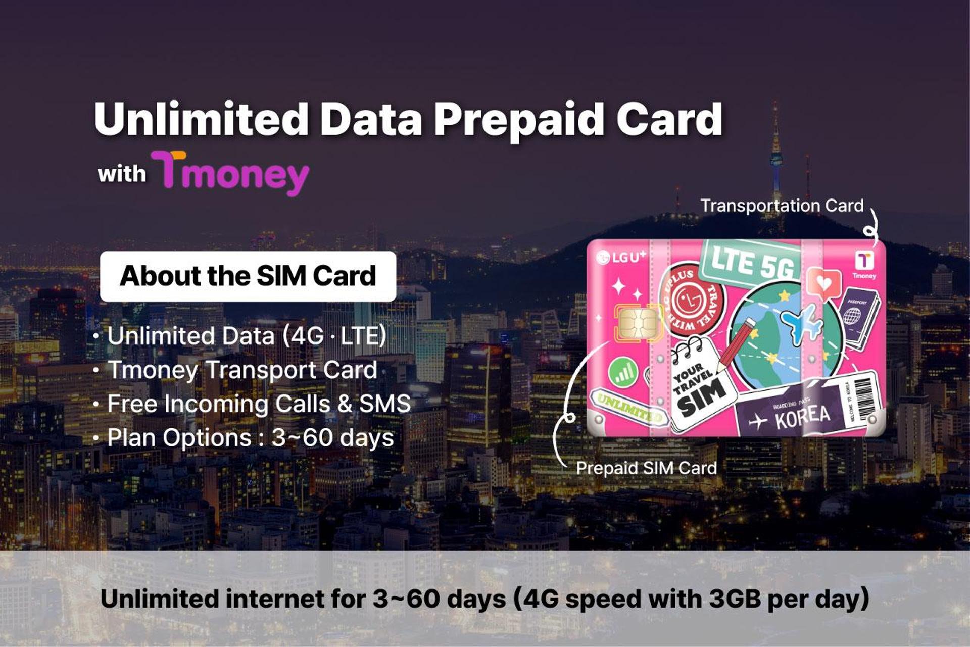 Incheon Airport: Traveler SIM & T-money Transportation Card - Thumbnail 2