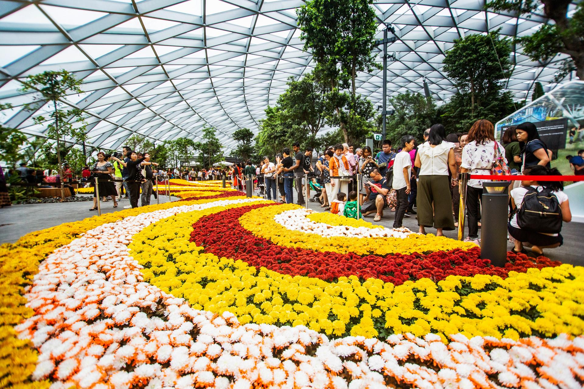 Jewel Changi Airport: Canopy Park Admission Ticket - Thumbnail 2
