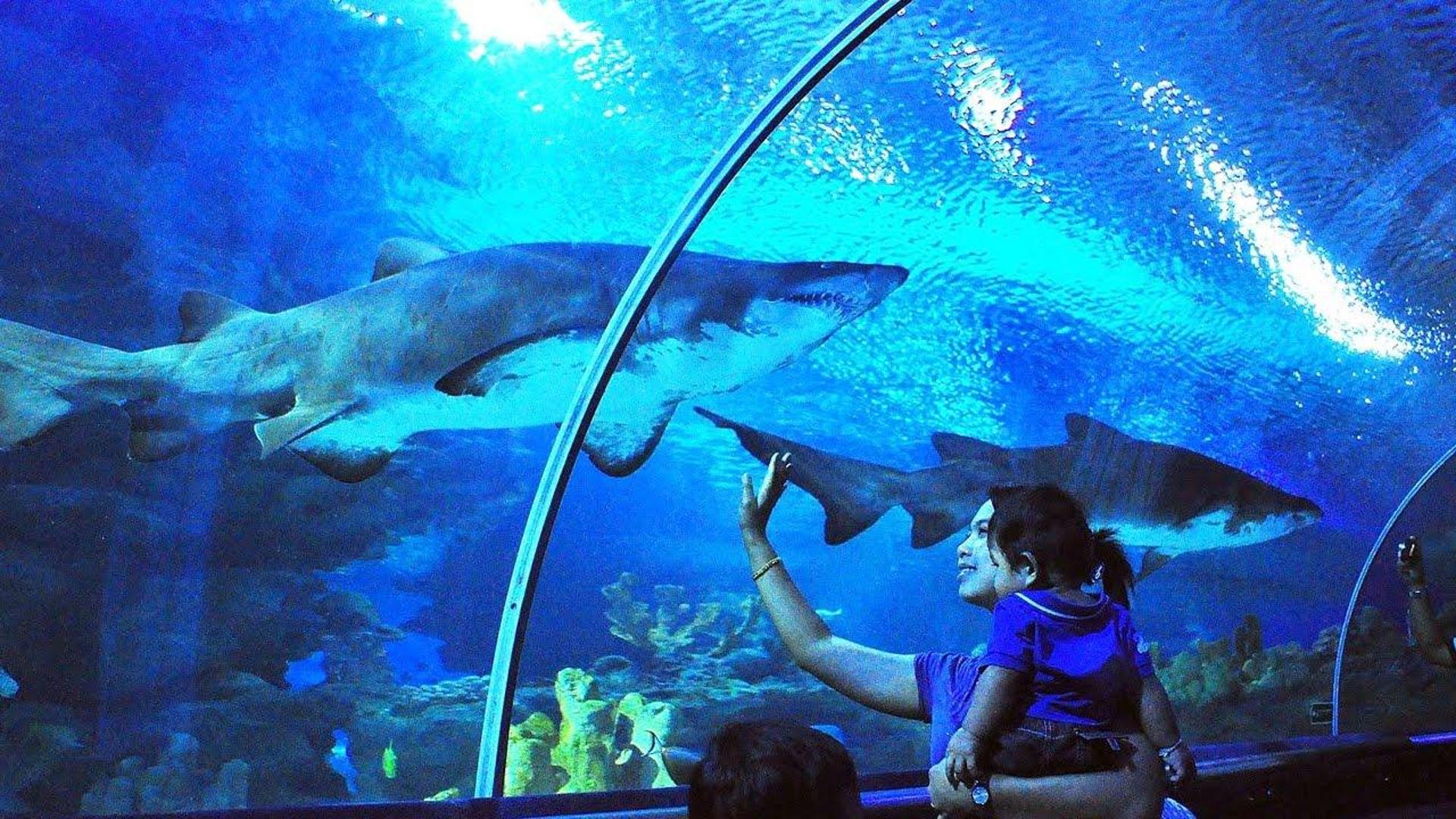 Kuala Lumpur: Aquaria KLCC Entry Ticket - Image 1