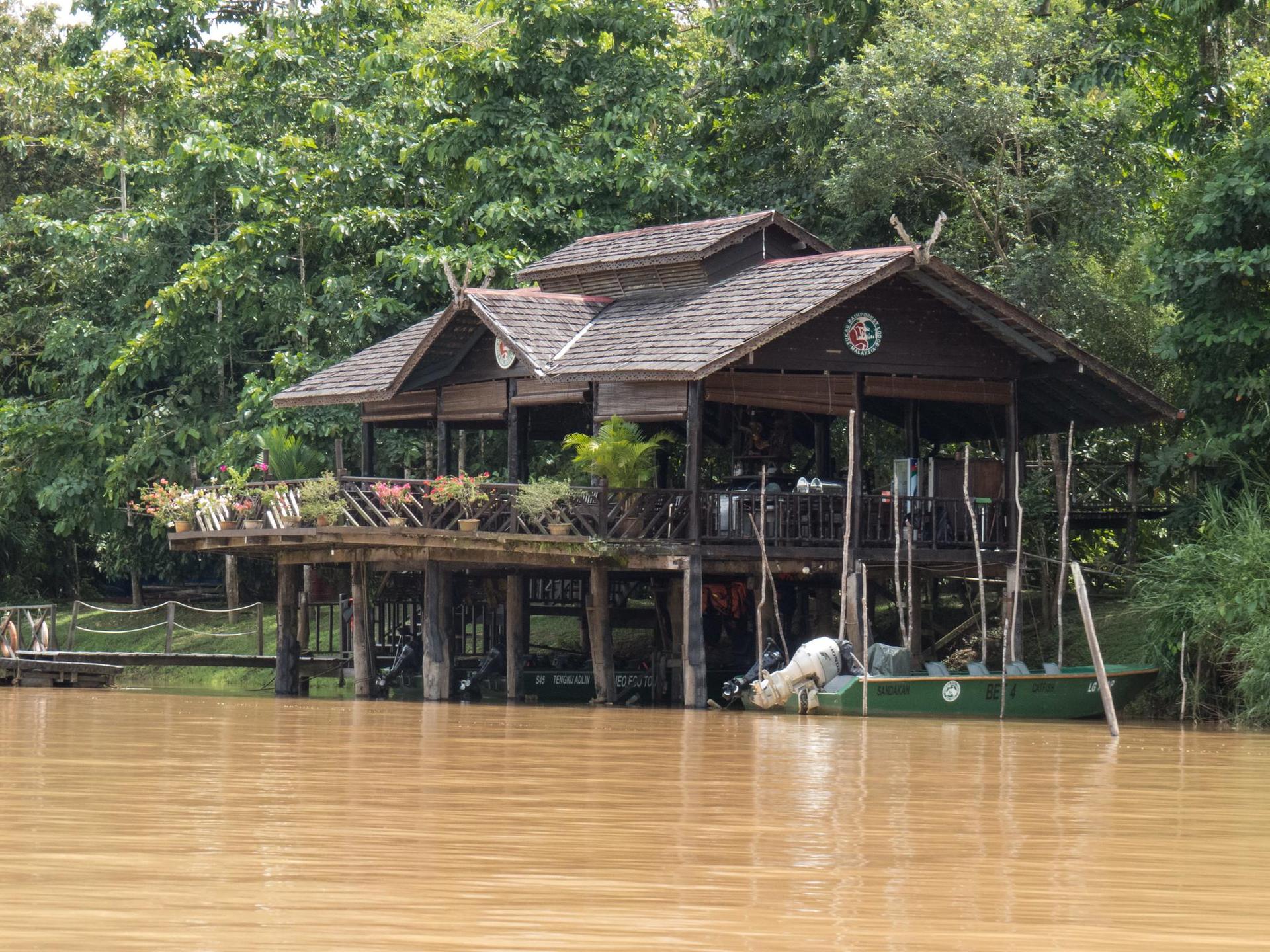 Sandakan: 3D2N The Wild Heart of Borneo River Secrets - Thumbnail 3