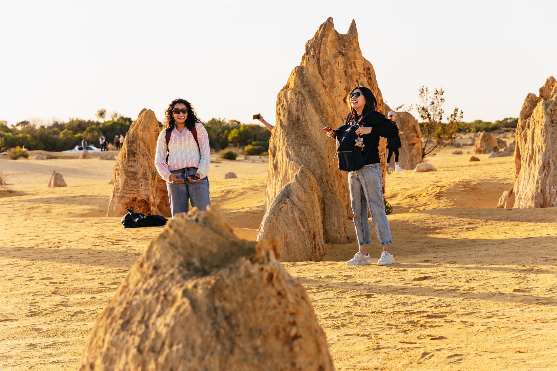 From Perth: The Pinnacles Desert Sunset and Star-Gazing Tour - Thumbnail 3