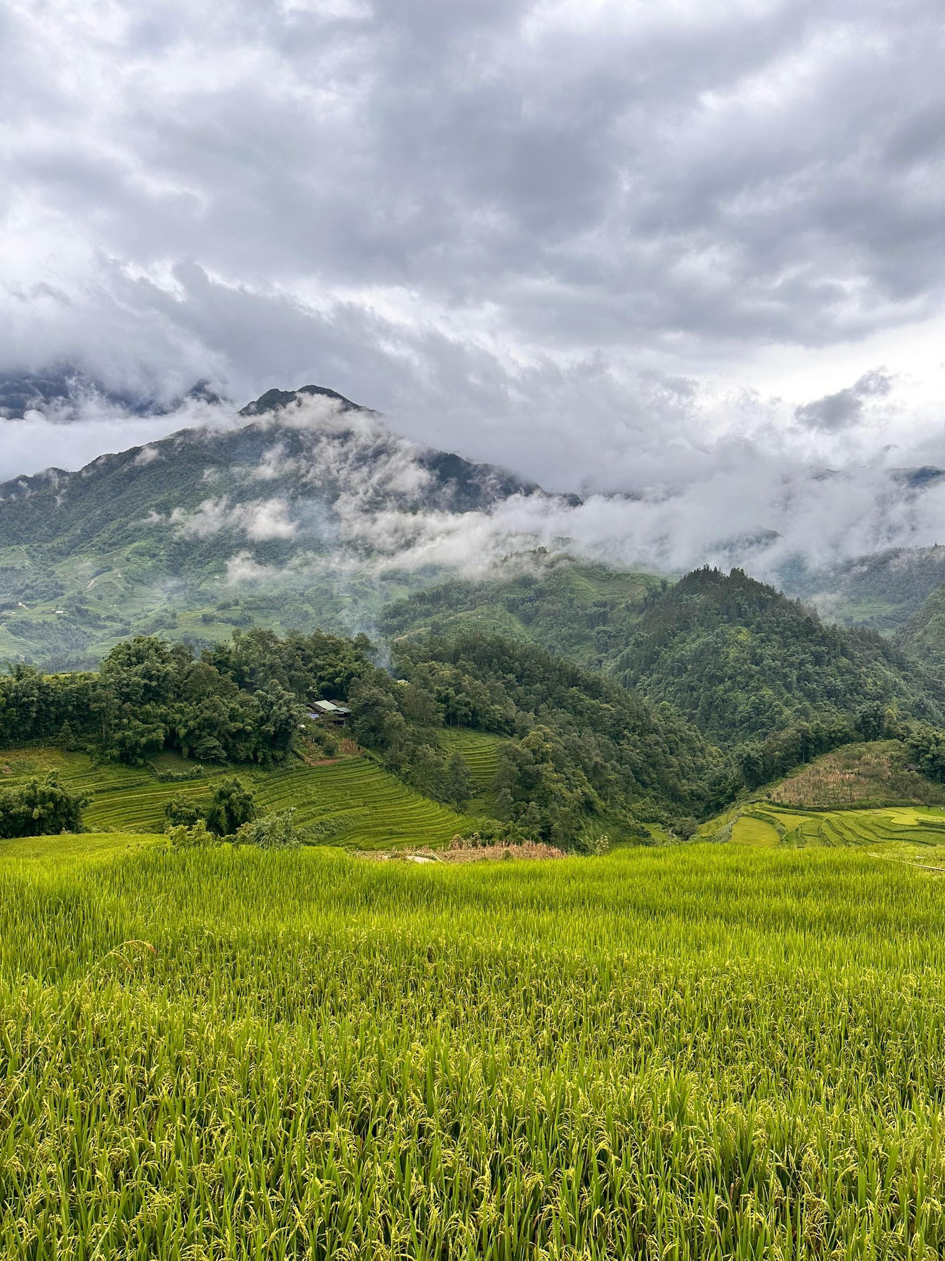 Explore Sapa by TrekkingAdventures, Mountain,Rice fields - Thumbnail 3