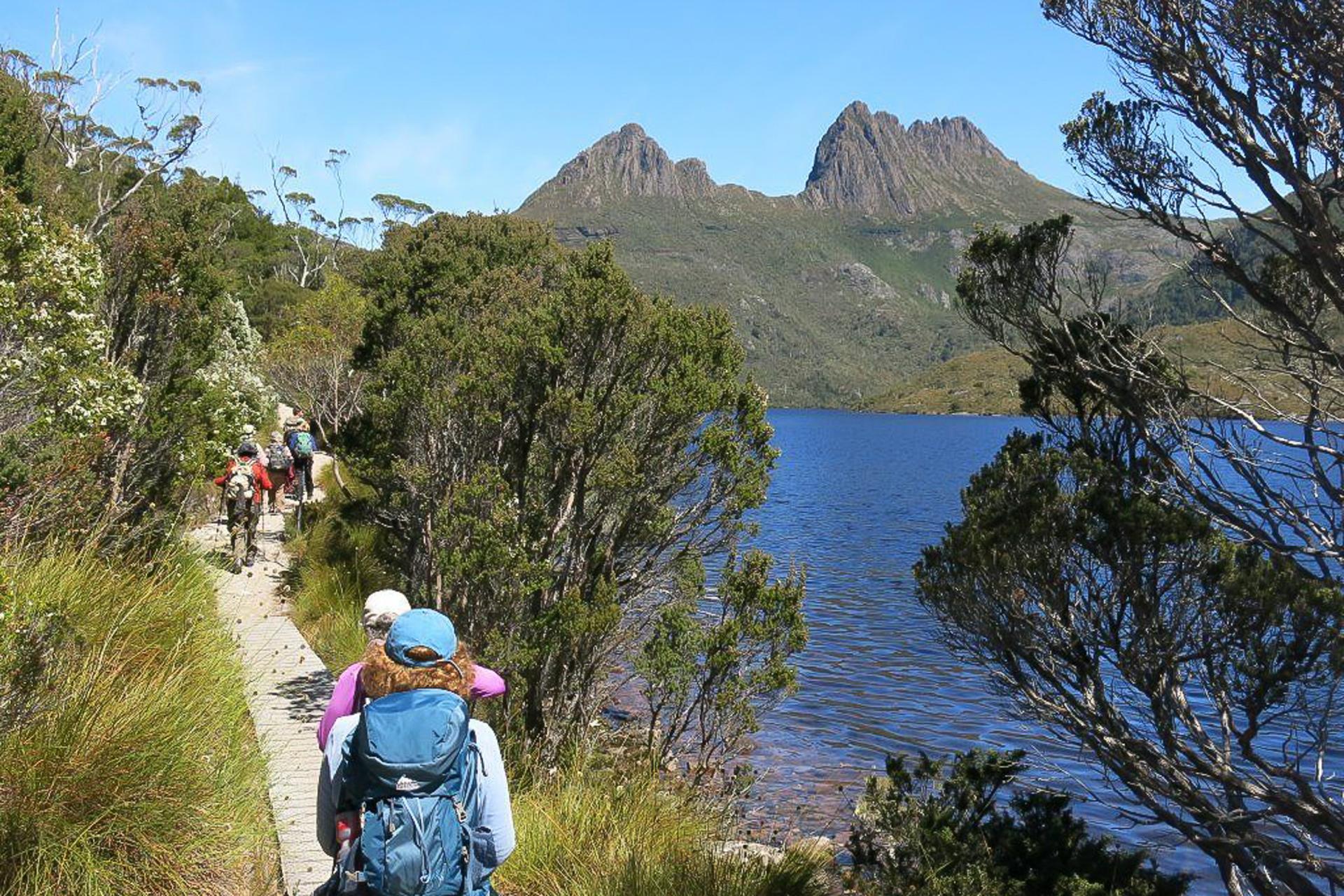 Cradle Mountain: Day Trip from Launceston with Lunch - Thumbnail 2