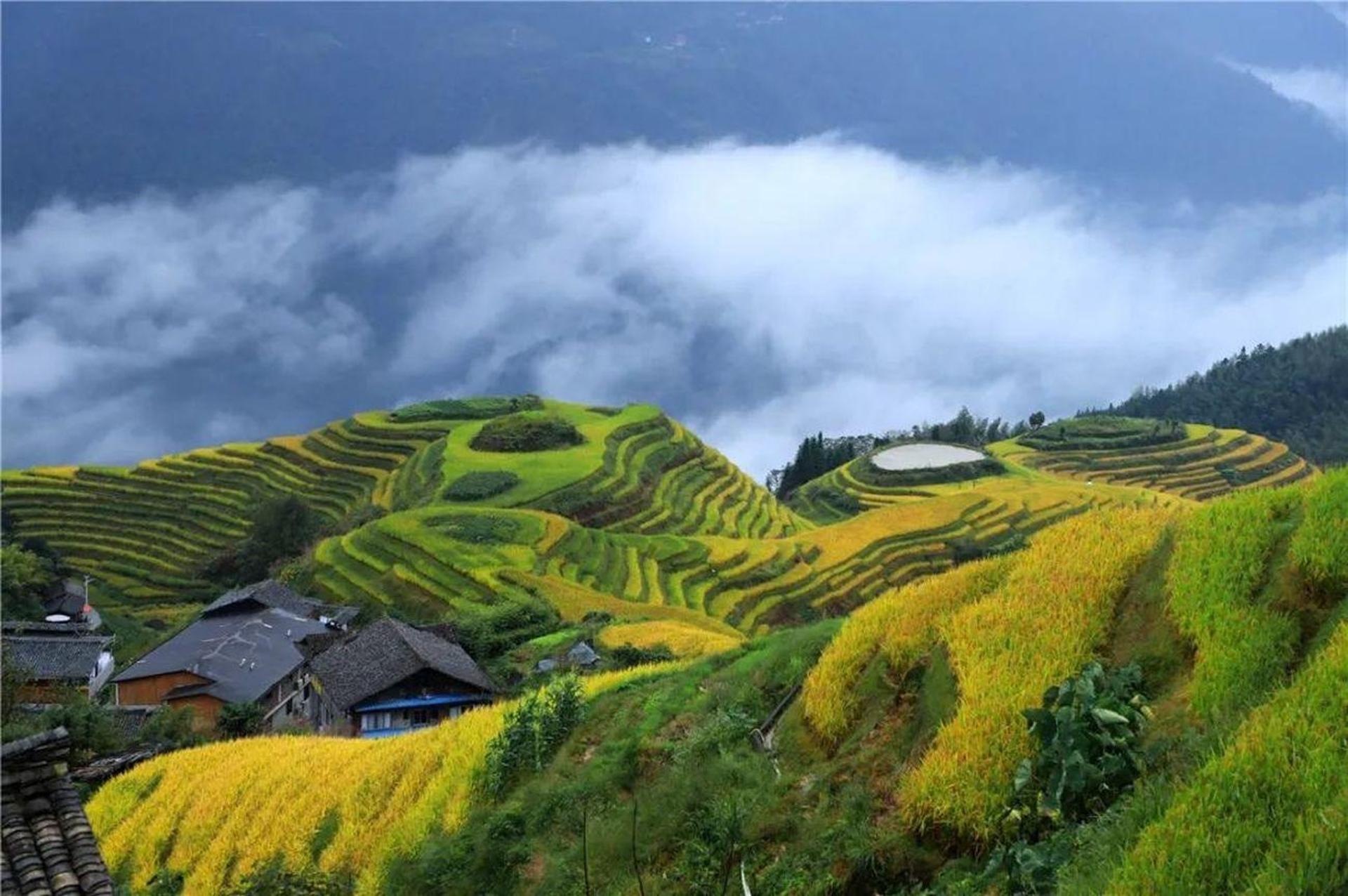 6-Day Private Tour: Guilin Terraces, Fenghuang & Zhangjiajie - Image 1