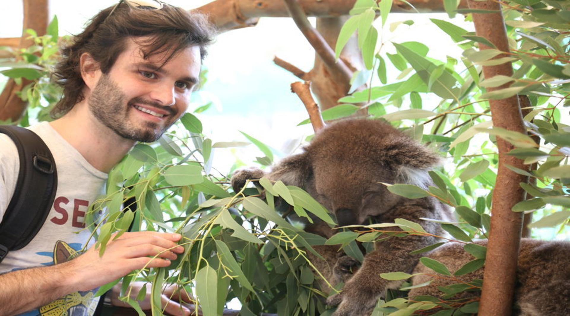 Pinnacles, Koalas & Sandboarding Tour Day Trip from Perth - Thumbnail 3