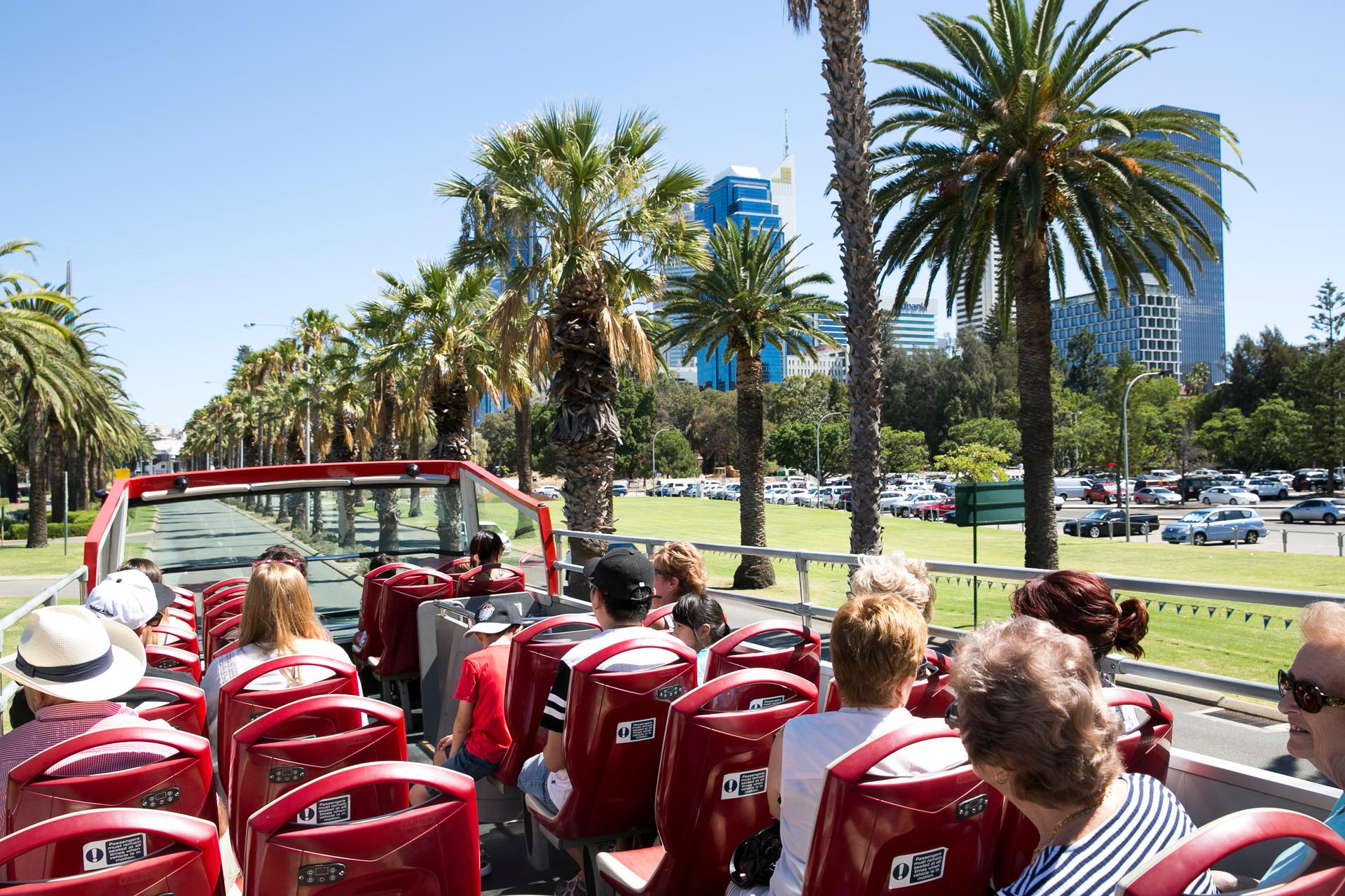 Perth: Hop-on Hop-off Sightseeing Bus Ticket - Thumbnail 2