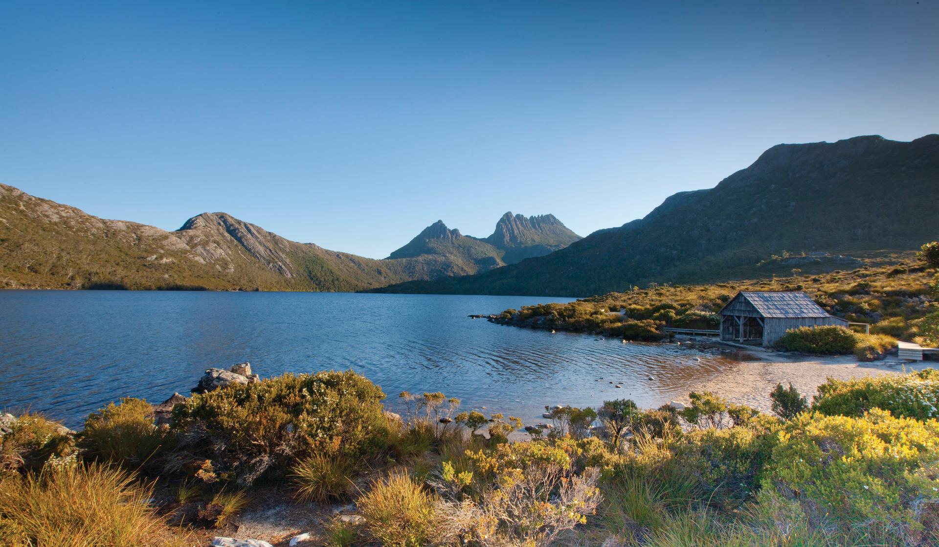 Cradle Mountain: Fully Guided Dove Lake Day Tour with Lunch - Thumbnail 2