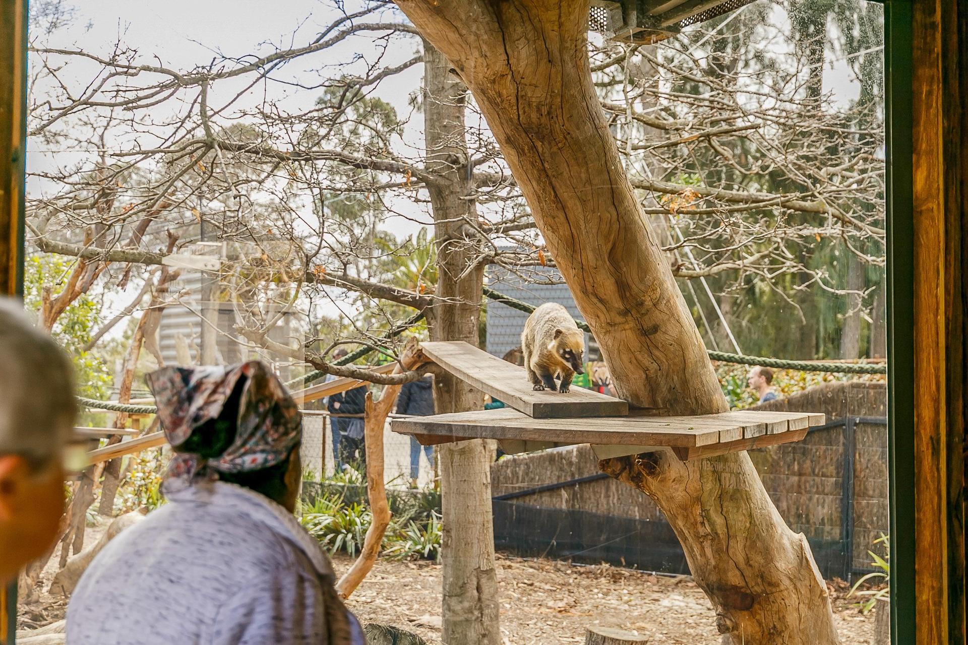 Melbourne Zoo: 1-Day Entry Ticket - Thumbnail 3