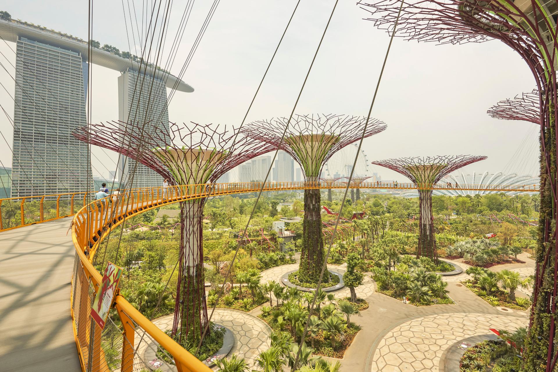 Singapore: Gardens by the Bay Admission E-Ticket - Thumbnail 3