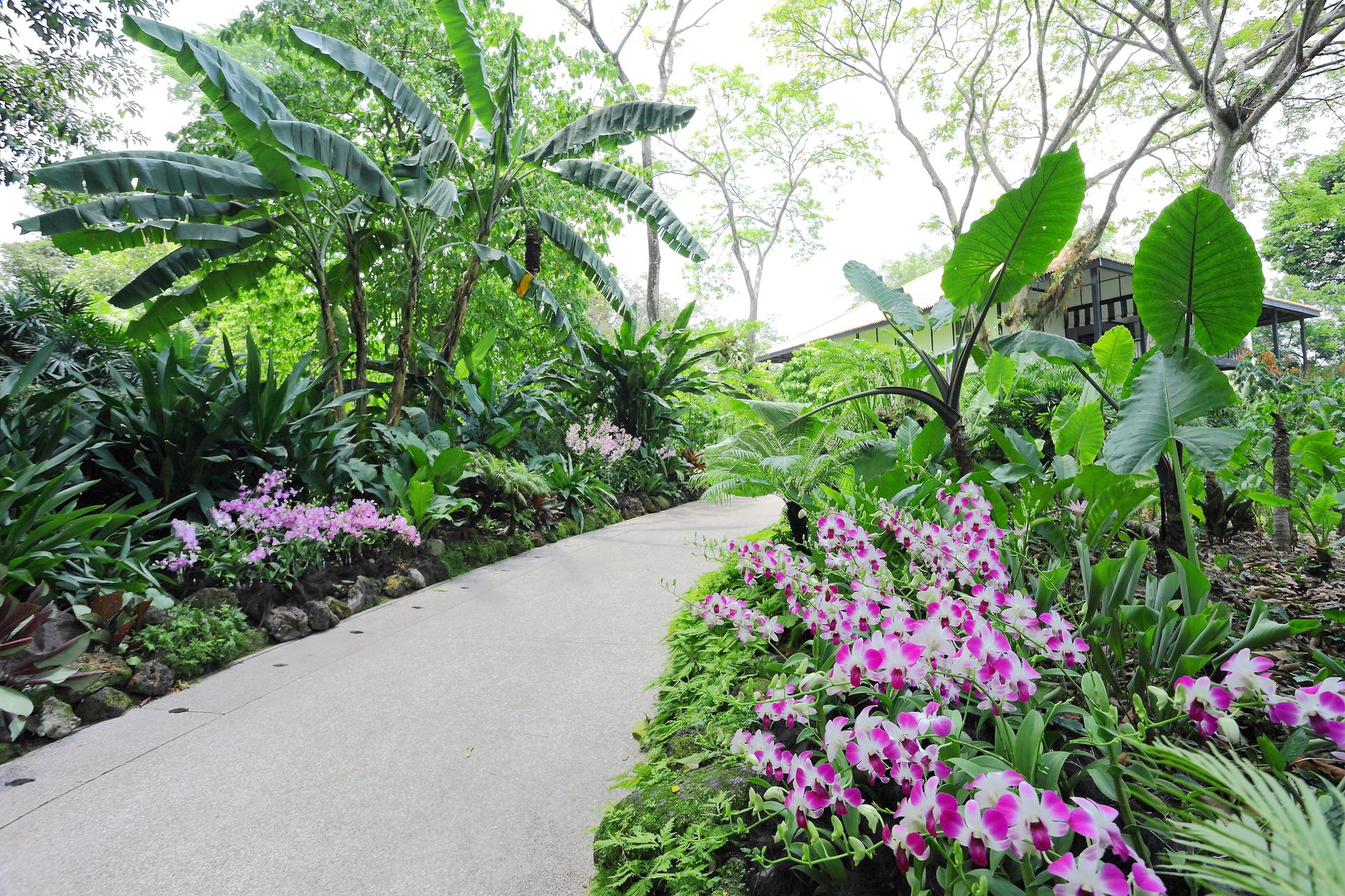 Singapore: National Orchid Garden Entry Tickets - Thumbnail 3