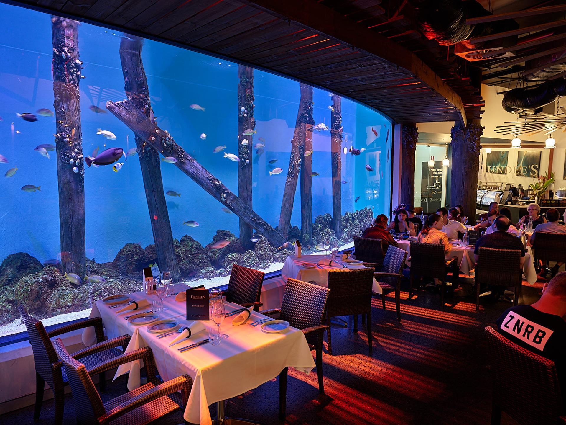 Cairns Aquarium General Admission Ticket - Thumbnail 2