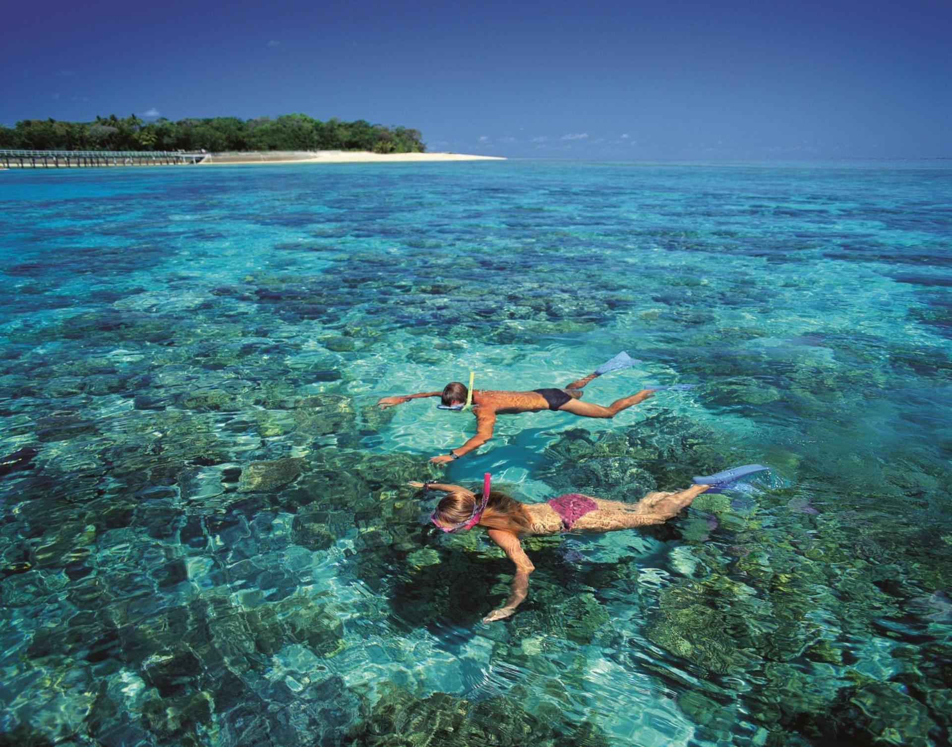 From Cairns: Full-Day Green Island Cruise - Thumbnail 2