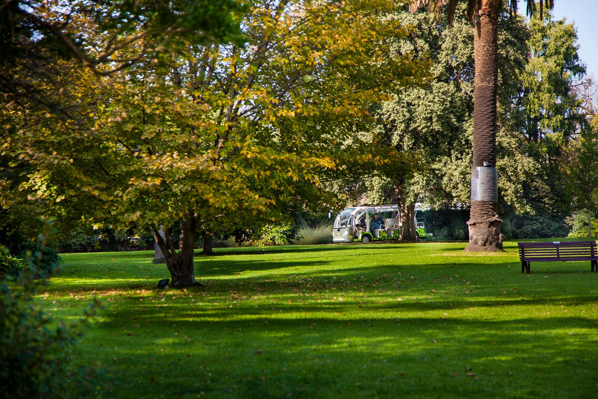 Melbourne: Melbourne Gardens Explorer Minibus Tour - Thumbnail 2