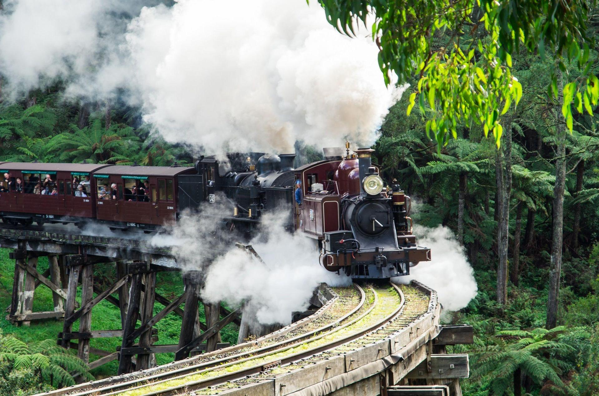 From Melbourne: Puffing Billy and Penguin Parade Combo Tour - Thumbnail 2