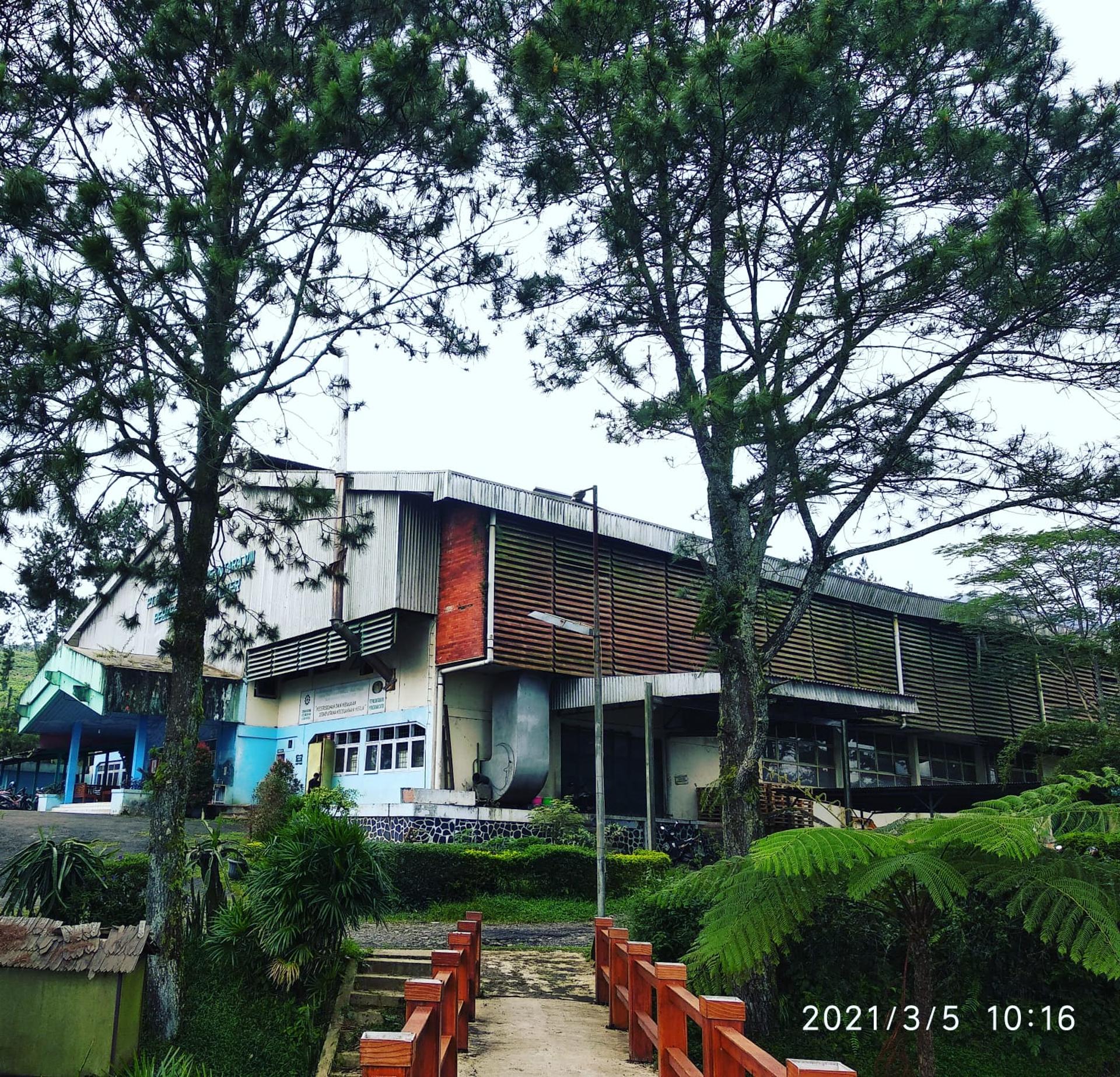 Jakarta :Volcano, HotSpring, Tea Factory, RiceField, &Coffee - Thumbnail 3