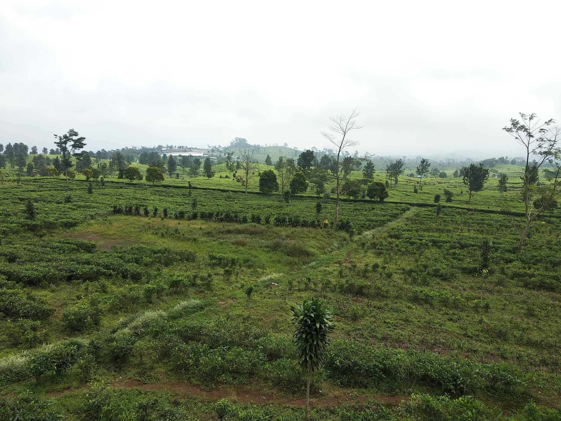 Jakarta: Active Volcano, Waterfall &beautiful local village - Thumbnail 3