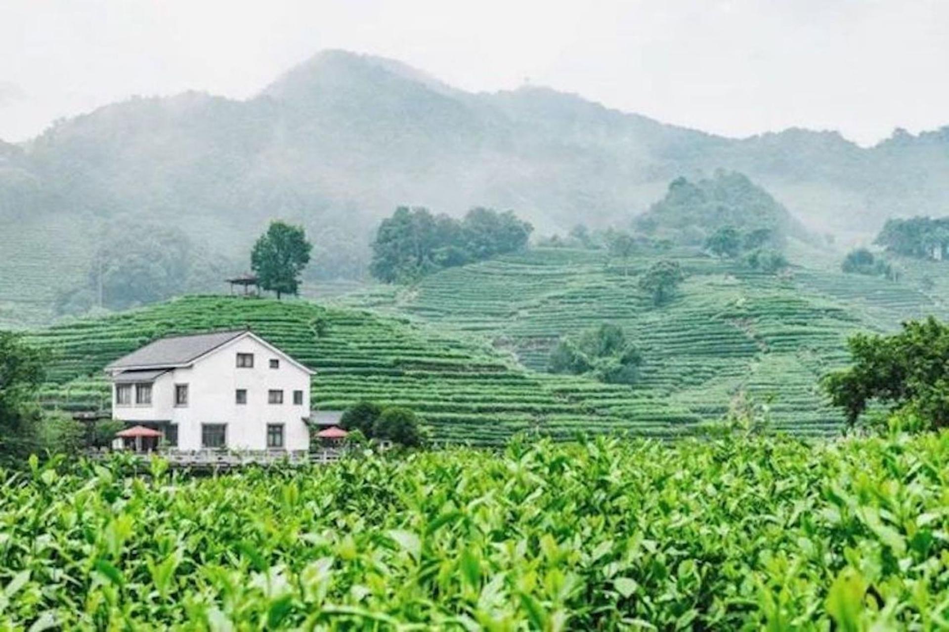 Shanghai: Private Guided Tour to Hangzhou by Bullet Train - Thumbnail 2