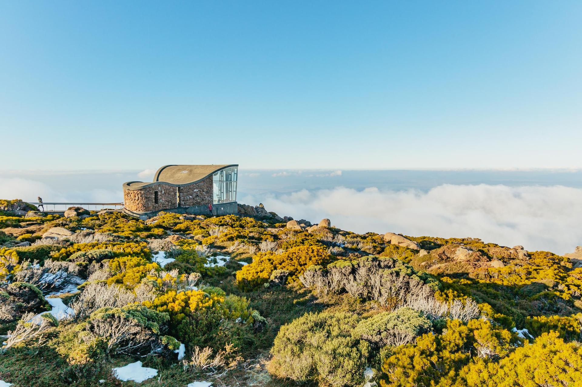 Hobart: Mt Wellington, Mt Field, Bonorong and Richmond Trip - Image 1