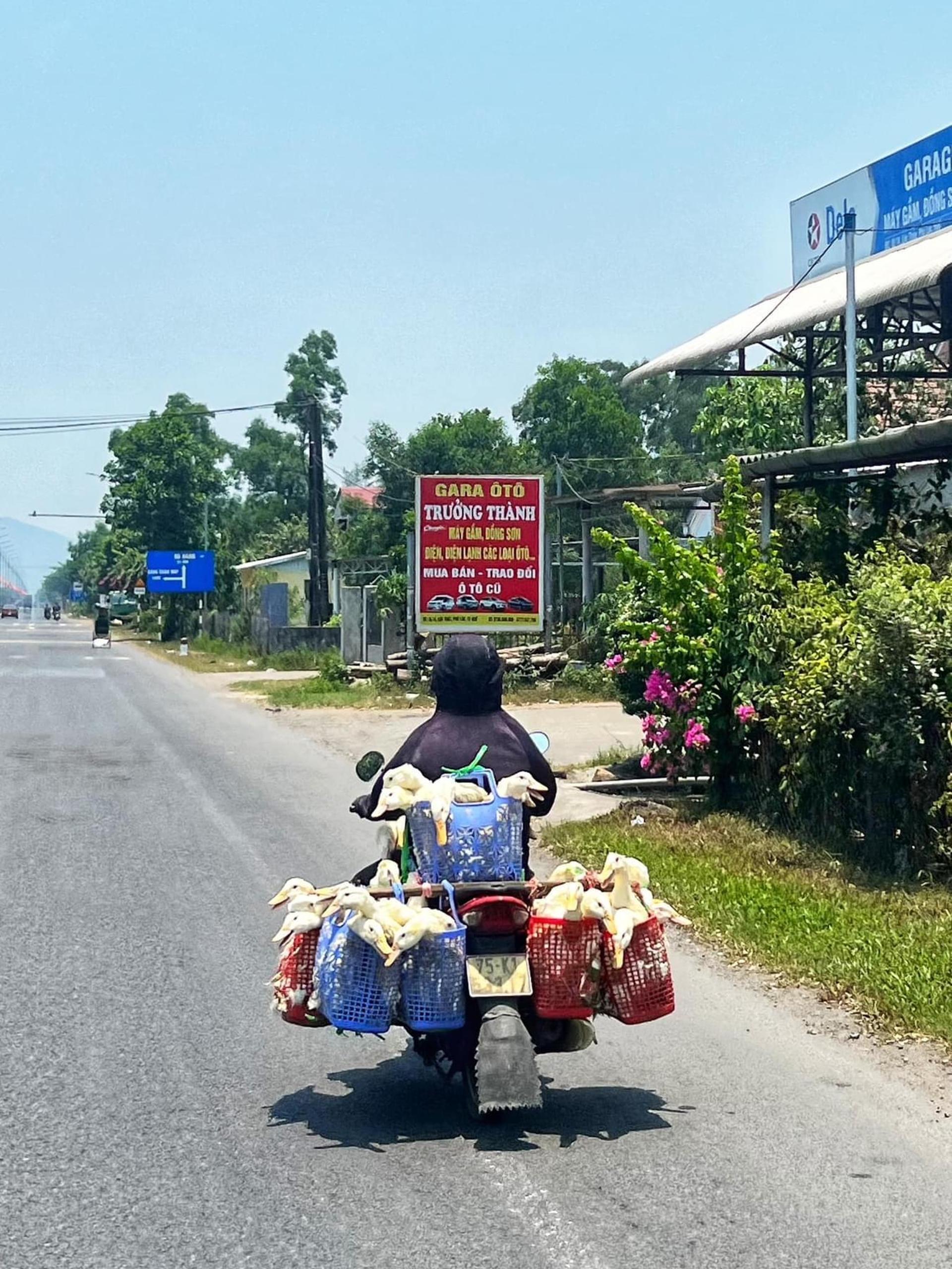 Easy Rider Motorbike Tour via Hai Van Pass: HoiAn/DaNang/Hue - Thumbnail 3