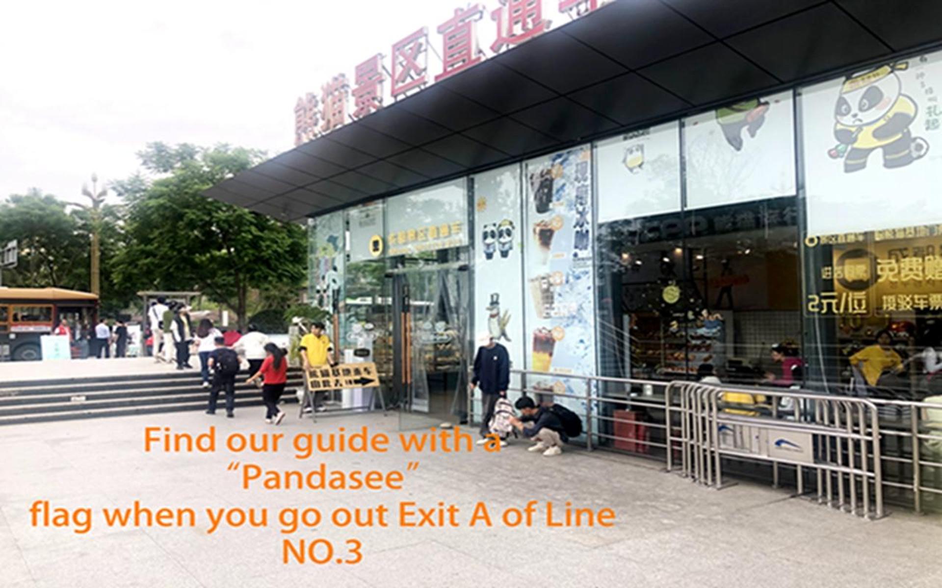 Chengdu panda base half day tour - Thumbnail 2