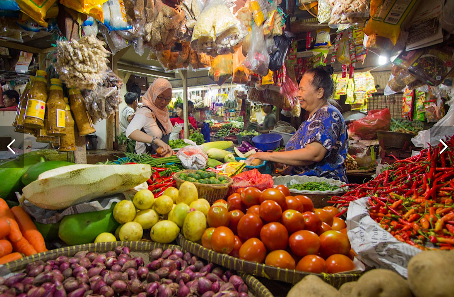 Bali: Explore North Bali Customized Day Tour - Thumbnail 3