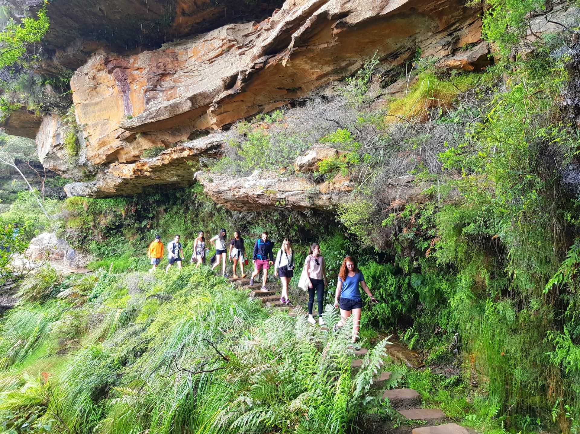 From Sydney: Blue Mountains Tour with Waterfall Walk & Lunch - Thumbnail 3