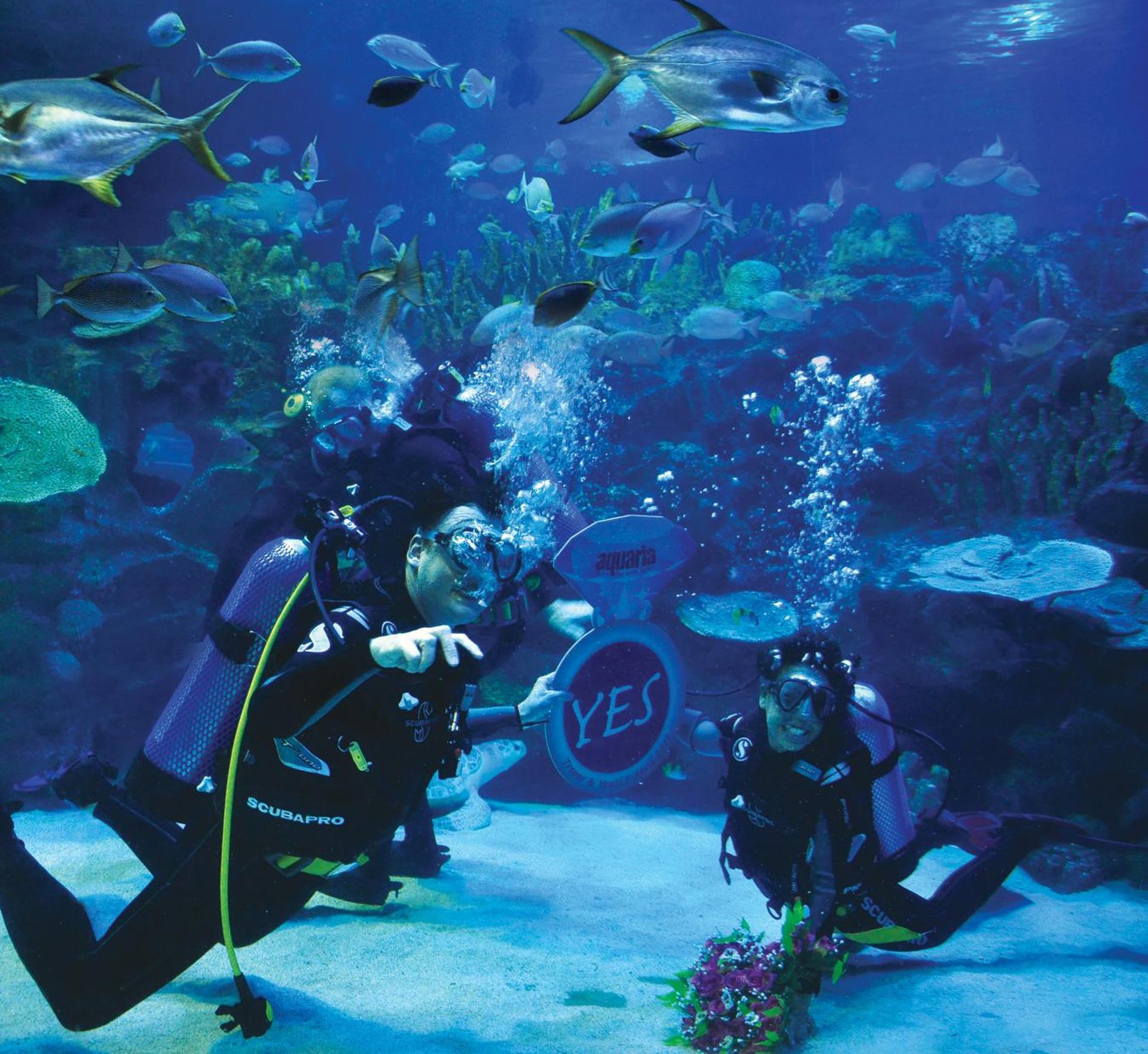 Kuala Lumpur: Aquaria KLCC Entry Ticket - Thumbnail 3