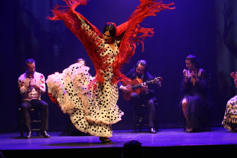 Intimate flamenco show in a historic Madrid tablao featuring a dancer in a red dress and live guitarist. Intimate flamenco show in a historic Madrid tablao featuring a dancer in a red dress and live guitarist.