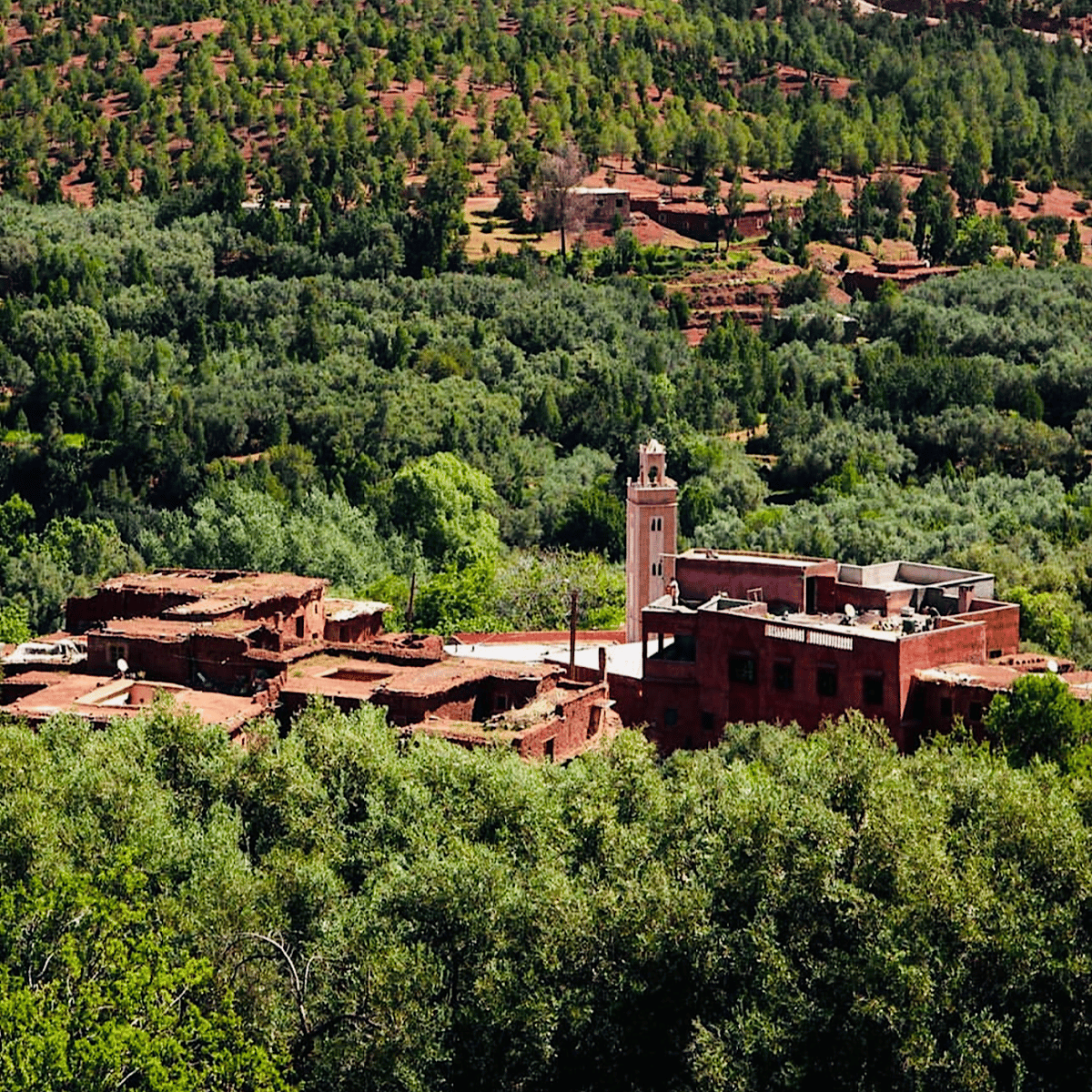 Von Marrakech aus: Ouirgane Tagesausflug mit traditionellem Mittagessen — photo 2 of 15