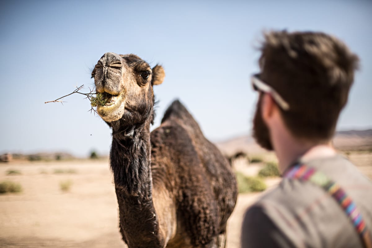 Marrakesch: Tagestour zum Hohen Atlas und zu den Berbern — photo 2 of 11