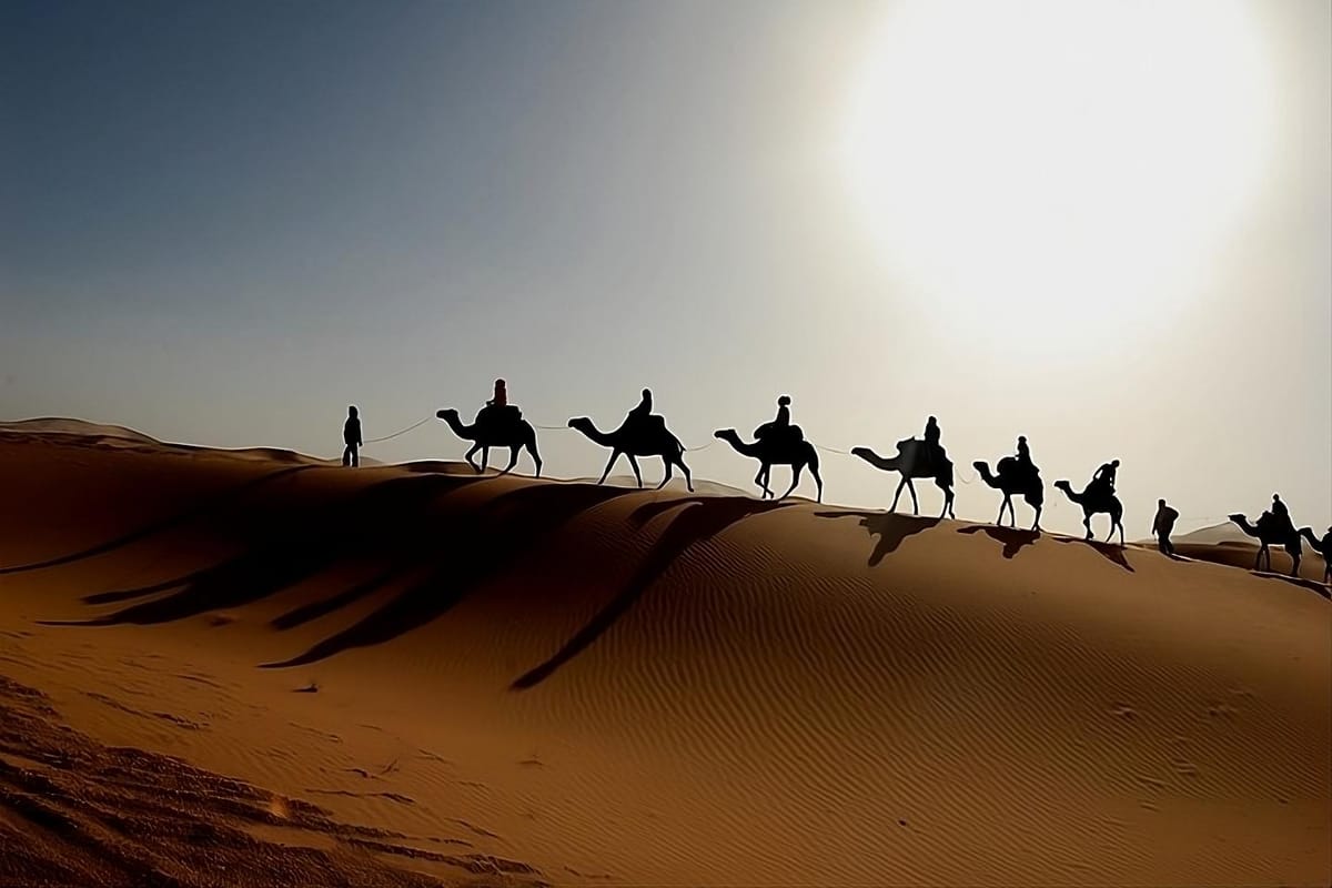 Ab Fes: 3-Tages-Luxus-Wüstentour nach Marrakesch über Merzouga — photo 2 of 15