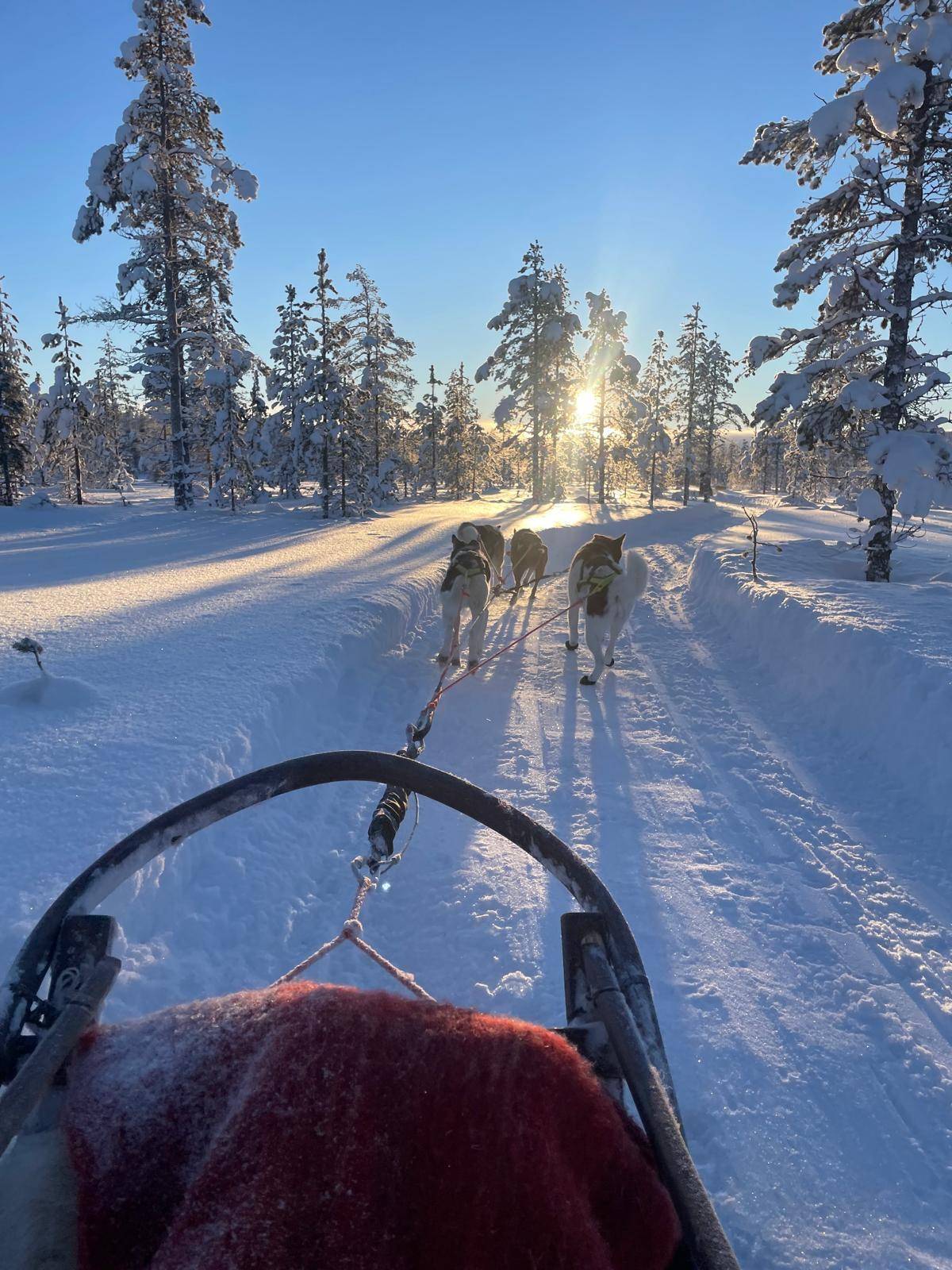 Levi: Lovimainas Arctic Forest Ice Skating (1 km)